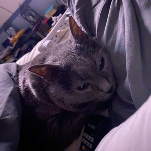 Meet your Posher, Julia